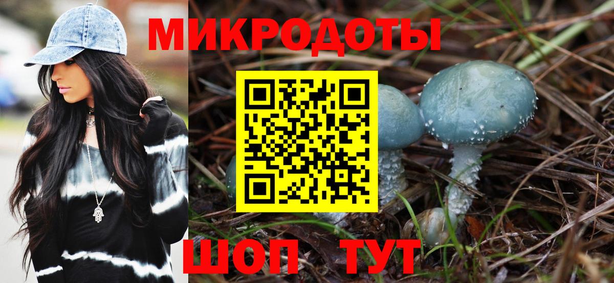 Фрязино  Галлюциногенные грибы мицелий  Вход с VPN  Галлюциногенные грибы Psilocybe 
