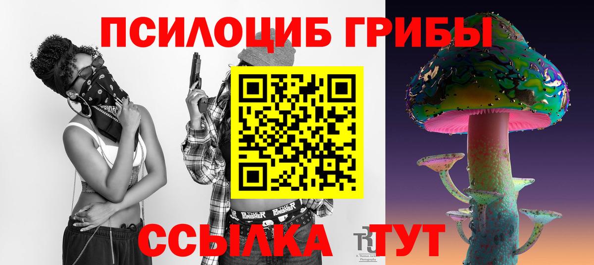 Псилоцибиновые грибы мицелий Фрязино